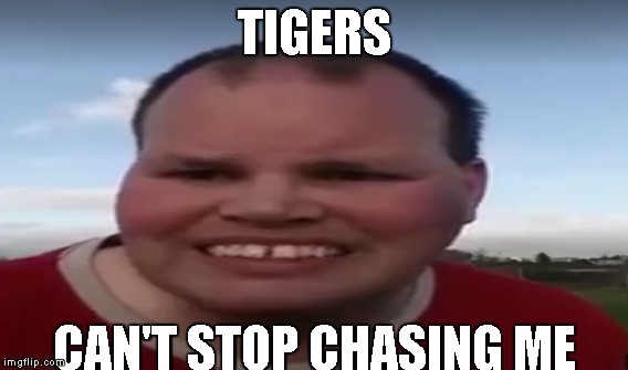 TIGERS; CAN'T STOP CHASING ME | made w/ Imgflip meme maker