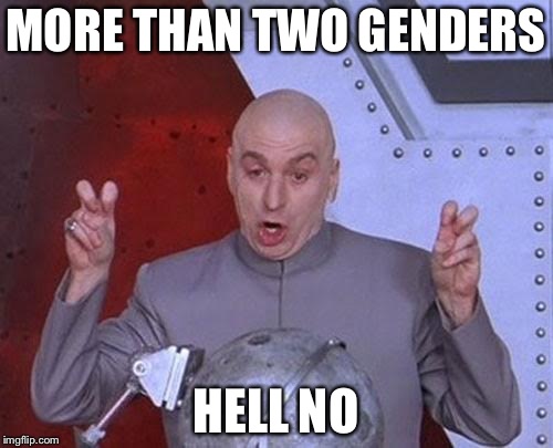 Dr Evil Laser | MORE THAN TWO GENDERS; HELL NO | image tagged in memes,dr evil laser | made w/ Imgflip meme maker