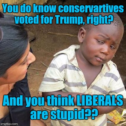 Third World Skeptical Kid Meme | You do know conservartives voted for Trump, right? And you think LIBERALS are stupid?? | image tagged in memes,third world skeptical kid | made w/ Imgflip meme maker