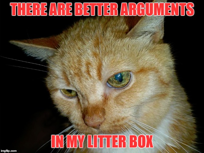 Chai's litter box | THERE ARE BETTER ARGUMENTS; IN MY LITTER BOX | image tagged in cat,grumpy cat,litter box,argument | made w/ Imgflip meme maker