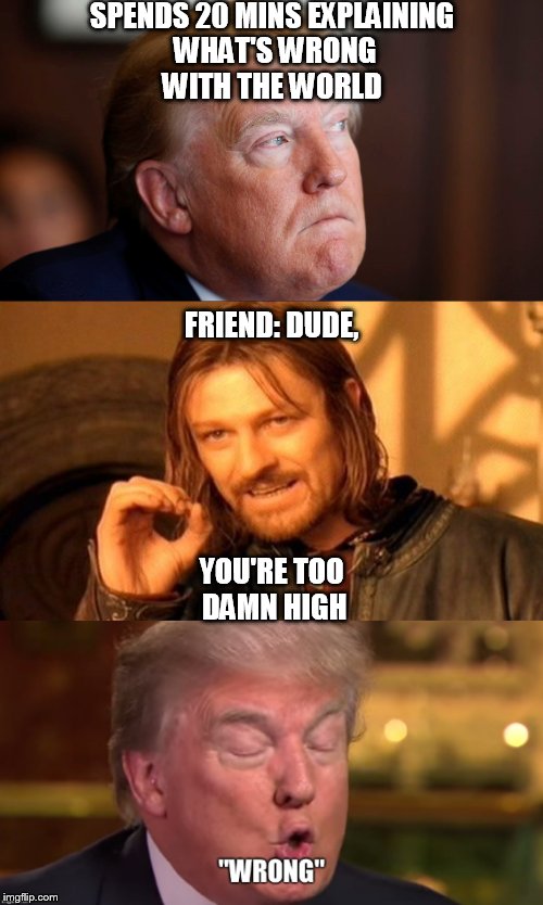 Trump-weed-convo | SPENDS 20 MINS EXPLAINING WHAT'S WRONG WITH THE WORLD; FRIEND: DUDE, YOU'RE TOO DAMN HIGH | image tagged in too damn high,trump | made w/ Imgflip meme maker