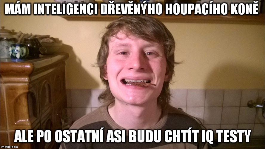 MÁM INTELIGENCI DŘEVĚNÝHO HOUPACÍHO KONĚ; ALE PO OSTATNÍ ASI BUDU CHTÍT IQ TESTY | made w/ Imgflip meme maker