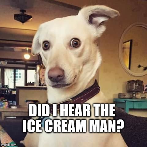 Ice Cream Man | DID I HEAR THE ICE CREAM MAN? | image tagged in is that the ice cream man | made w/ Imgflip meme maker