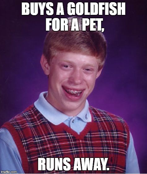 Bad Luck Brian | BUYS A GOLDFISH FOR A PET, RUNS AWAY. | image tagged in memes,bad luck brian | made w/ Imgflip meme maker