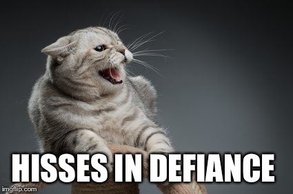 HISSES IN DEFIANCE | made w/ Imgflip meme maker