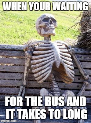 Waiting Skeleton Meme | WHEN YOUR WAITING; FOR THE BUS AND IT TAKES TO LONG | image tagged in memes,waiting skeleton | made w/ Imgflip meme maker