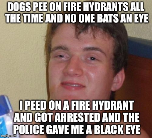 10 Guy Meme | DOGS PEE ON FIRE HYDRANTS ALL THE TIME AND NO ONE BATS AN EYE; I PEED ON A FIRE HYDRANT AND GOT ARRESTED AND THE POLICE GAVE ME A BLACK EYE | image tagged in memes,10 guy,funny | made w/ Imgflip meme maker