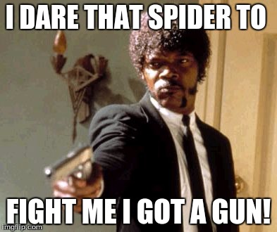 Say That Again I Dare You Meme | I DARE THAT SPIDER TO FIGHT ME I GOT A GUN! | image tagged in memes,say that again i dare you | made w/ Imgflip meme maker