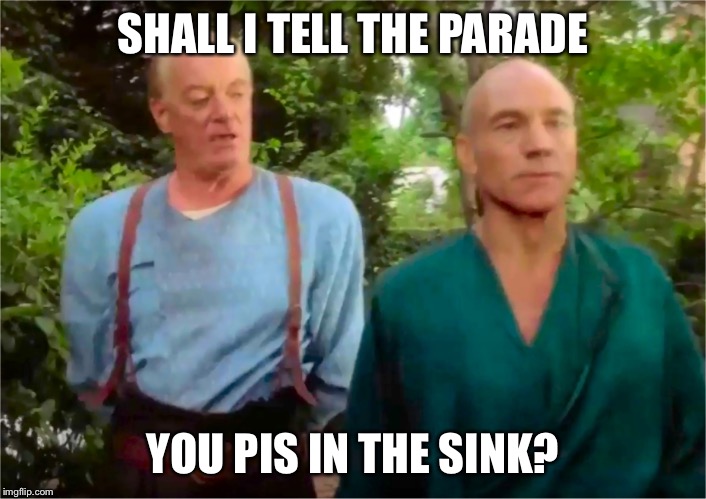 Picards Parade | SHALL I TELL THE PARADE YOU PIS IN THE SINK? | image tagged in picards parade | made w/ Imgflip meme maker