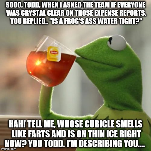 But That's None Of My Business Meme | SOOO, TODD, WHEN I ASKED THE TEAM IF EVERYONE WAS CRYSTAL CLEAR ON THOSE EXPENSE REPORTS, YOU REPLIED.. "IS A FROG'S ASS WATER TIGHT?"; HAH! TELL ME, WHOSE CUBICLE SMELLS LIKE FARTS AND IS ON THIN ICE RIGHT NOW? YOU TODD. I'M DESCRIBING YOU.... | image tagged in memes,but thats none of my business,kermit the frog | made w/ Imgflip meme maker