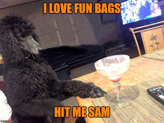 Noah Gump at Bar | I LOVE FUN BAGS HIT ME SAM | image tagged in noah gump at bar | made w/ Imgflip meme maker