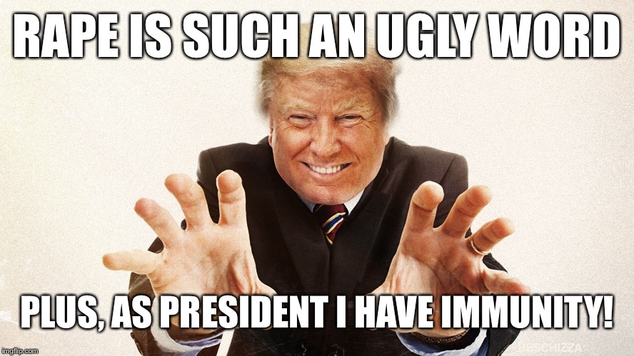 RAPE IS SUCH AN UGLY WORD PLUS, AS PRESIDENT I HAVE IMMUNITY! | made w/ Imgflip meme maker