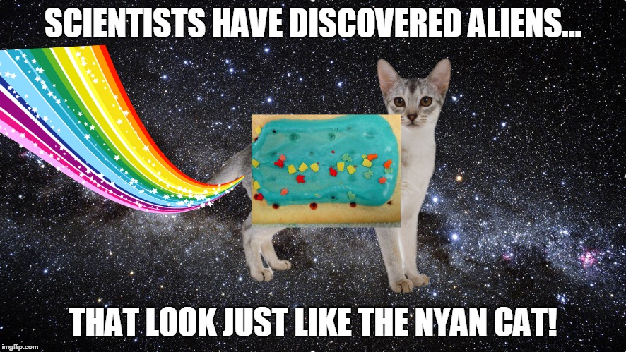 real nyan cat | SCIENTISTS HAVE DISCOVERED ALIENS... THAT LOOK JUST LIKE THE NYAN CAT! | image tagged in meme,nyan cat | made w/ Imgflip meme maker