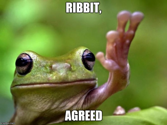 Angry Tree Frog | RIBBIT, AGREED | image tagged in angry tree frog | made w/ Imgflip meme maker