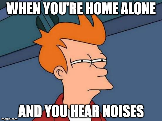 That's definitley a Ghost. | WHEN YOU'RE HOME ALONE; AND YOU HEAR NOISES | image tagged in memes,futurama fry | made w/ Imgflip meme maker