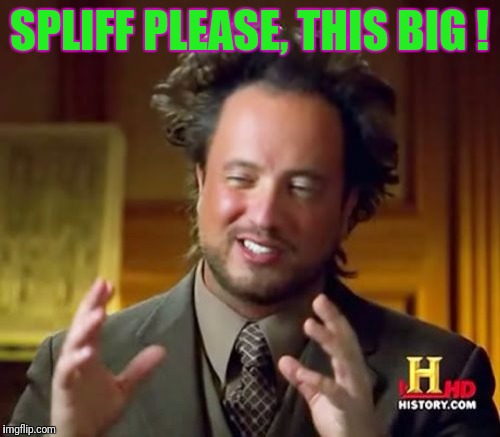 Ancient Aliens | SPLIFF PLEASE, THIS BIG ! | image tagged in memes,ancient aliens | made w/ Imgflip meme maker