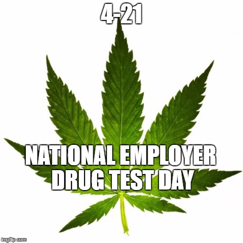 marijuana666 | 4-21; NATIONAL EMPLOYER DRUG TEST DAY | image tagged in marijuana666 | made w/ Imgflip meme maker