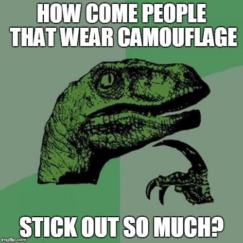 Philosoraptor | HOW COME PEOPLE THAT WEAR CAMOUFLAGE; STICK OUT SO MUCH? | image tagged in memes,philosoraptor | made w/ Imgflip meme maker