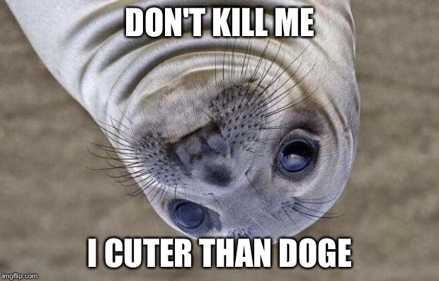 Awkward Moment Sealion Meme | DON'T KILL ME; I CUTER THAN DOGE | image tagged in memes,awkward moment sealion | made w/ Imgflip meme maker