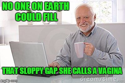 NO ONE ON EARTH COULD FILL THAT SLOPPY GAP SHE CALLS A VA**NA | made w/ Imgflip meme maker