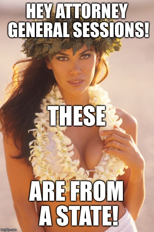 Happy Cleavage Week! | HEY ATTORNEY GENERAL SESSIONS! THESE; ARE FROM A STATE! | image tagged in memes,funny,hawaii,cleavage week,hula girl,politics | made w/ Imgflip meme maker