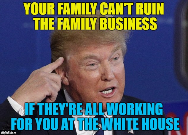 He's right you know... :) | YOUR FAMILY CAN'T RUIN THE FAMILY BUSINESS; IF THEY'RE ALL WORKING FOR YOU AT THE WHITE HOUSE | image tagged in trump rolls safe,memes,trump,politics,family business,roll safe | made w/ Imgflip meme maker