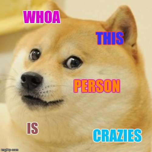 Doge | WHOA; THIS; PERSON; IS; CRAZIES | image tagged in memes,doge | made w/ Imgflip meme maker