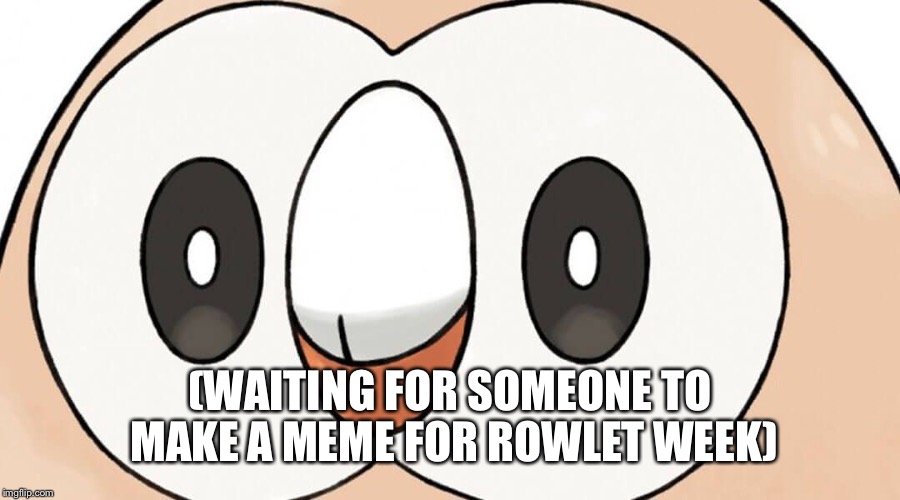 (WAITING FOR SOMEONE TO MAKE A MEME FOR ROWLET WEEK) | image tagged in memes | made w/ Imgflip meme maker