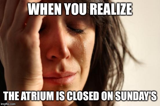 First World Problems | WHEN YOU REALIZE; THE ATRIUM IS CLOSED ON SUNDAY'S | image tagged in memes,first world problems | made w/ Imgflip meme maker