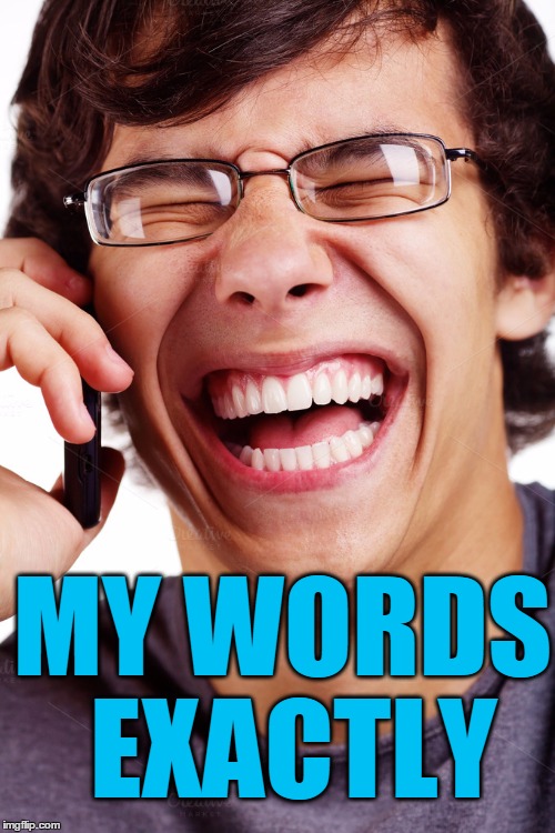 LOL | MY WORDS EXACTLY | image tagged in lol | made w/ Imgflip meme maker