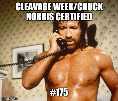 CLEAVAGE WEEK/CHUCK NORRIS CERTIFIED #175 | made w/ Imgflip meme maker