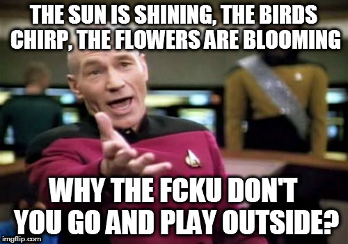 Picard Wtf Meme | THE SUN IS SHINING, THE BIRDS CHIRP, THE FLOWERS ARE BLOOMING; WHY THE FCKU DON'T YOU GO AND PLAY OUTSIDE? | image tagged in memes,picard wtf | made w/ Imgflip meme maker