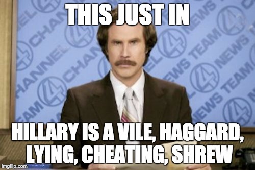 Ron Burgundy Meme | THIS JUST IN; HILLARY IS A VILE, HAGGARD, LYING, CHEATING, SHREW | image tagged in memes,ron burgundy | made w/ Imgflip meme maker