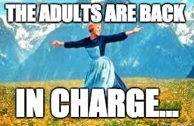 Look At All These Meme | THE ADULTS ARE BACK; IN CHARGE... | image tagged in memes,look at all these | made w/ Imgflip meme maker