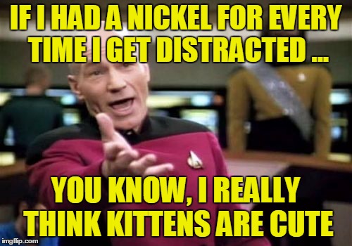 Like I was Saying What Was I Saying  | IF I HAD A NICKEL FOR EVERY TIME I GET DISTRACTED ... YOU KNOW, I REALLY THINK KITTENS ARE CUTE | image tagged in memes,picard wtf,what,funny | made w/ Imgflip meme maker