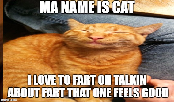 i have farted | MA NAME IS CAT; I LOVE TO FART OH TALKIN ABOUT FART THAT ONE FEELS GOOD | image tagged in fish | made w/ Imgflip meme maker