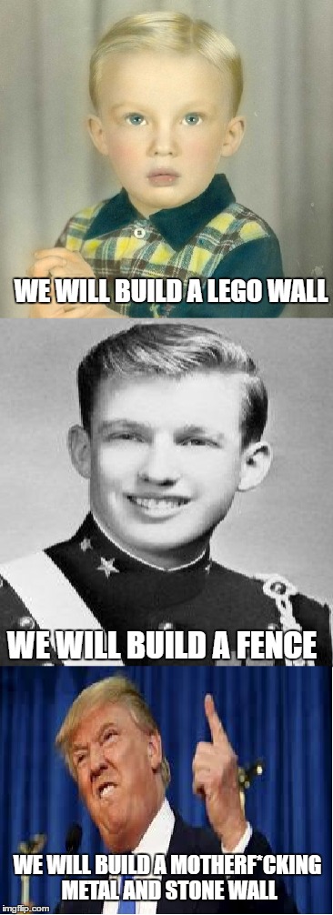 WE WILL BUILD A LEGO WALL; WE WILL BUILD A FENCE; WE WILL BUILD A MOTHERF*CKING METAL AND STONE WALL | image tagged in donald trump,donald trump wall,funny,memes,funny memes | made w/ Imgflip meme maker