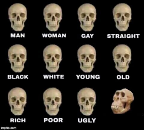idiot skull Blank Meme Template