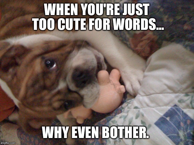 Chunk | WHEN YOU'RE JUST TOO CUTE FOR WORDS... WHY EVEN BOTHER. | image tagged in too cute | made w/ Imgflip meme maker