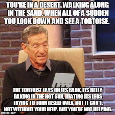 Maury getting deep. | YOU'RE IN A DESERT, WALKING ALONG IN THE SAND, WHEN ALL OF A SUDDEN YOU LOOK DOWN AND SEE A TORTOISE. THE TORTOISE LAYS ON ITS BACK, ITS BELLY BAKING IN THE HOT SUN, BEATING ITS LEGS TRYING TO TURN ITSELF OVER, BUT IT CAN'T. NOT WITHOUT YOUR HELP. BUT YOU'RE NOT HELPING. | image tagged in memes,maury lie detector | made w/ Imgflip meme maker