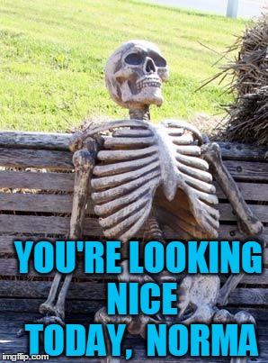 Waiting Skeleton Meme | YOU'RE LOOKING NICE TODAY,  NORMA | image tagged in memes,waiting skeleton | made w/ Imgflip meme maker