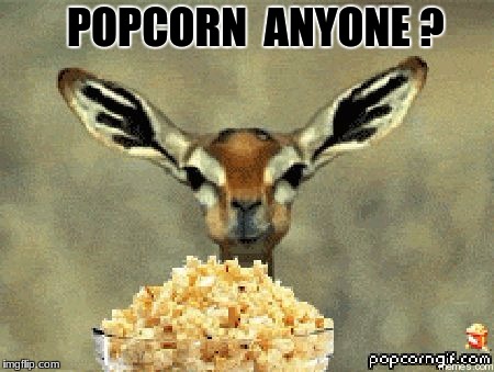Popcorn Anyone? | POPCORN  ANYONE ? | image tagged in popcorn | made w/ Imgflip meme maker