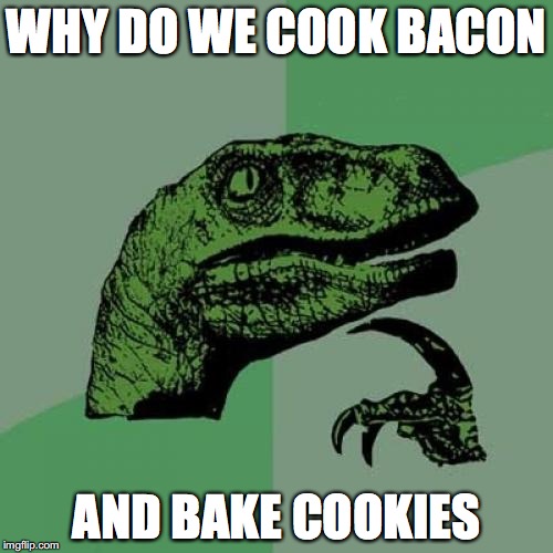 Philosoraptor Meme | WHY DO WE COOK BACON; AND BAKE COOKIES | image tagged in memes,philosoraptor | made w/ Imgflip meme maker