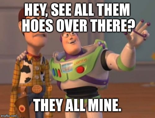 X, X Everywhere Meme | HEY, SEE ALL THEM HOES OVER THERE? THEY ALL MINE. | image tagged in memes,x x everywhere | made w/ Imgflip meme maker