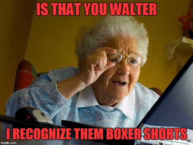Grandma Finds The Internet Meme | IS THAT YOU WALTER I RECOGNIZE THEM BOXER SHORTS | image tagged in memes,grandma finds the internet | made w/ Imgflip meme maker