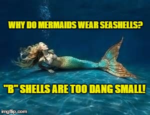 Mermaid  | WHY DO MERMAIDS WEAR SEASHELLS? "B" SHELLS ARE TOO DANG SMALL! | image tagged in mermaid | made w/ Imgflip meme maker