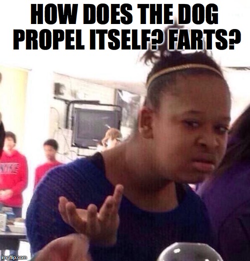 HOW DOES THE DOG PROPEL ITSELF? FARTS? | made w/ Imgflip meme maker