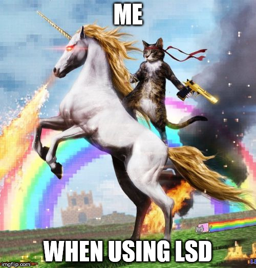 Welcome To The Internets Meme | ME; WHEN USING LSD | image tagged in memes,welcome to the internets | made w/ Imgflip meme maker