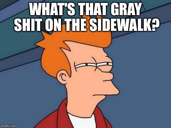 Futurama Fry Meme | WHAT'S THAT GRAY SHIT ON THE SIDEWALK? | image tagged in memes,futurama fry | made w/ Imgflip meme maker