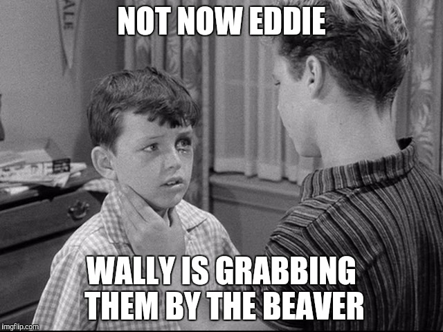 NOT NOW EDDIE WALLY IS GRABBING THEM BY THE BEAVER | made w/ Imgflip meme maker